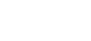 Fort Willow Developers